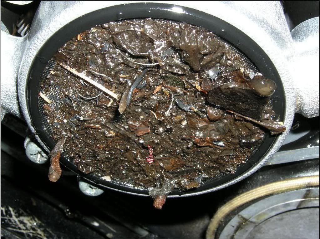 Here it is...the clogged oil pump screen (pic)